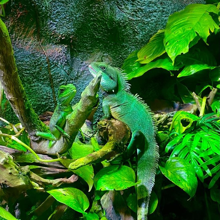 The National Aquarium