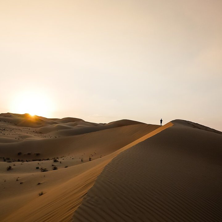 Desert safari with BBQ