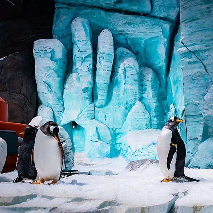SeaWorld Abu Dhabi