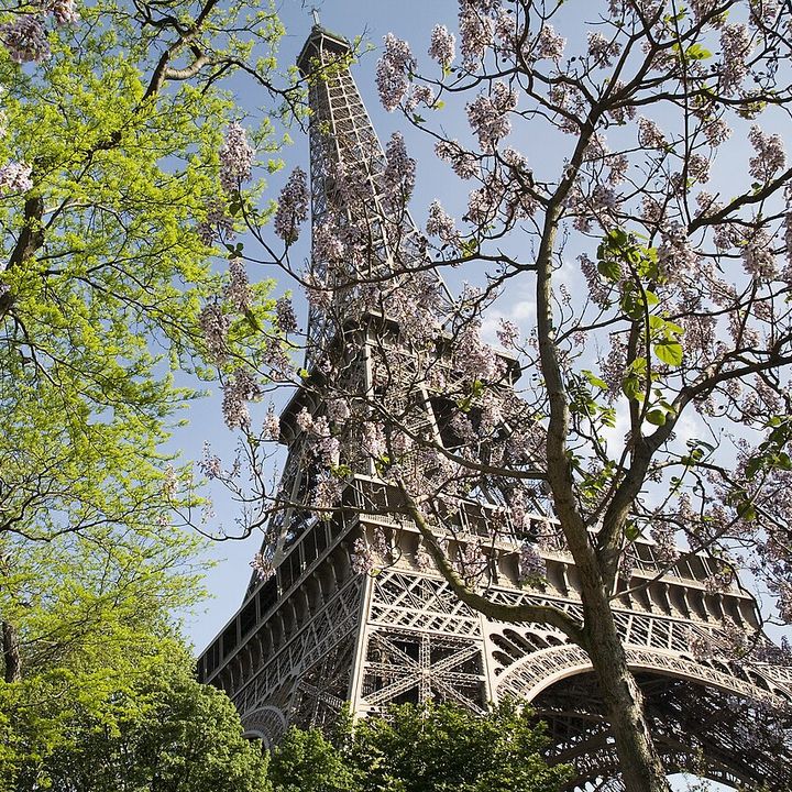 Eiffel Tower · Paris